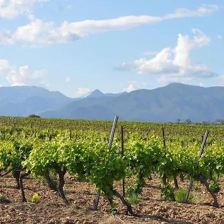 شقة Appt T4 Acces Plage, Piscine Privee, Clim N3-4 Linguizzetta