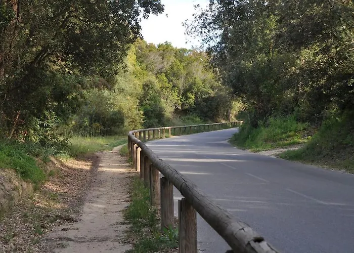 Daire Appt T4 Acces Plage, Piscine Privee, Clim N3-4 Linguizzetta