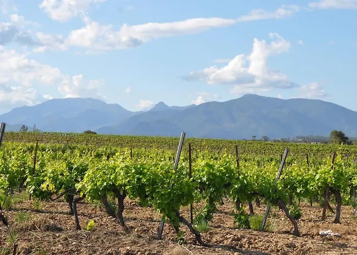 Daire Appt T4 Acces Plage, Piscine Privee, Clim N3-4 Linguizzetta