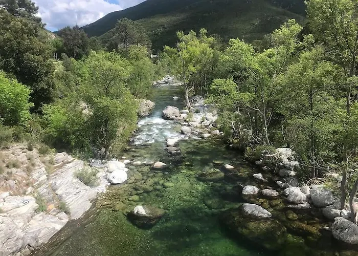 Appt T4 Accès Plage, Piscine Privée, Clim N3-4 * Linguizzetta